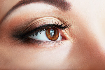 Fototapeta premium macro eye