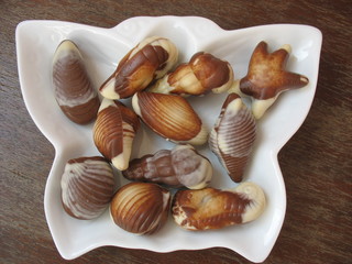 Шоколадные конфеты в виде морских ракушек