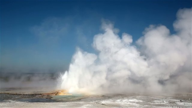 geyser in Yellowstone national park, USA 