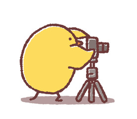 カメラマンヒヨコ © TAMAGO POTATO