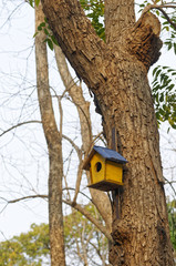 Bird house