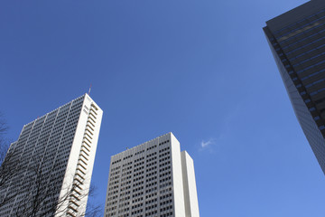 雲のない快晴なビル郡