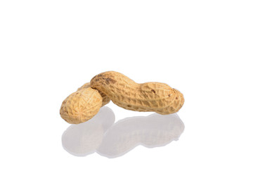 Peanut