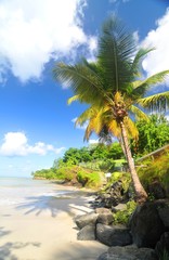 Tropical beach