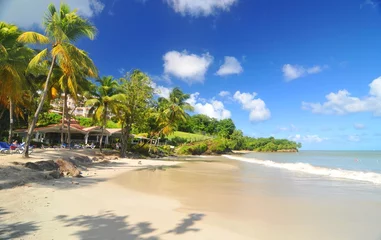 Afwasbaar behang Caraïben Caribisch strand