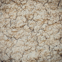Texture of crack clay wall