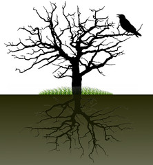 Vector-silhouette of a tree with the raven and the root