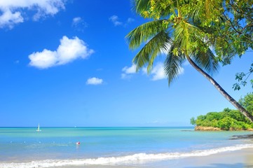 Plakat Tropical beach