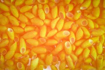 yellow color silkworm cocoons