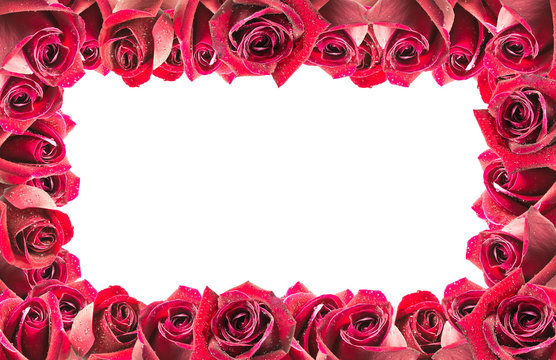 image of red roses frame background