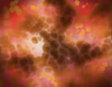 View a microscope of human cells