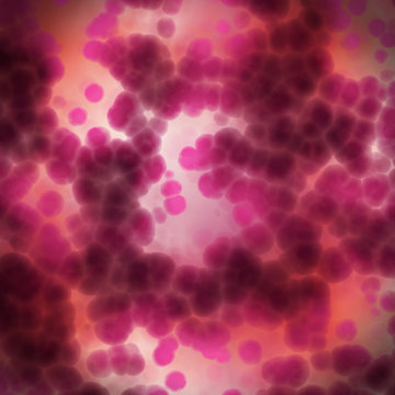 View a microscope of human cells