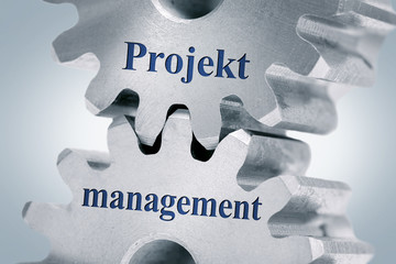 Projektmanagement © Coloures-Pic