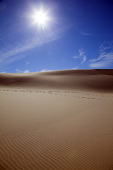 Danimarca,Skagen,Rabijerg Mile,dune di sabbia.