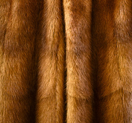 Animal fur