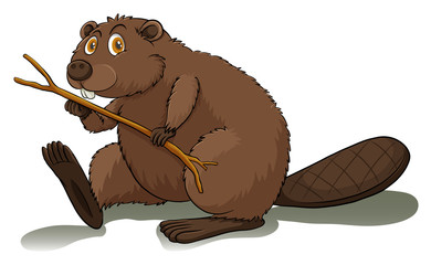 An eager beaver © blueringmedia