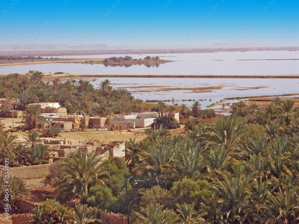 1000_F_78530172_UxxovV5FOuAPCqyNkVhdrfq5CIC5qebA.jpg