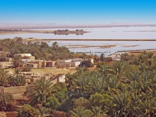 Selbstklebende Fototapeten Egypte oasis de Siwa, le lac salé © foxytoul