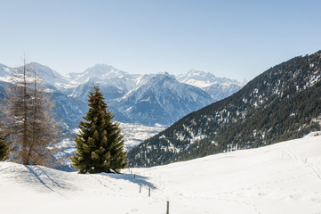 Fototapeta na wymiar Riederalp, Dorf, Walliser Alpen, Fletschhorn, Winter, Schweiz