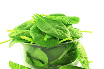 fresh spinach closeup in pure white background