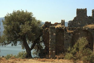 Fototapety na wymiar - Fototapeta24.pl