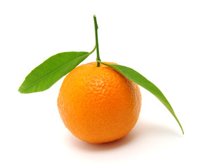 Fototapeta na wymiar mandarin