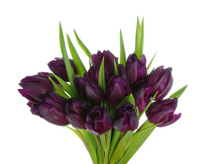 Bouquet of tulips