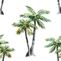 Palm pattern