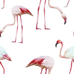 Fototapety  Wzór flaminga