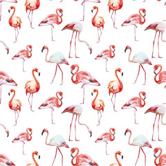 Obraz premium Flamingo pattern