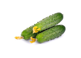 green cucumber\