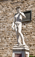 Naklejka premium A copy of the statue of David by Michelangelo, in Florence