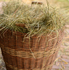 Weidenkorb mit Heu