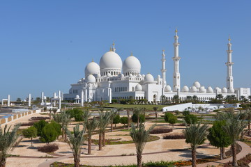Grand Zayed mosque, Emirates - 78540172