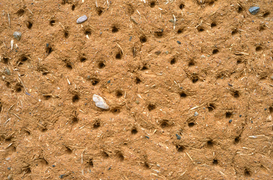 Lehmwand Detail