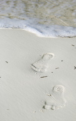 The foot print on the sand at the seashore.