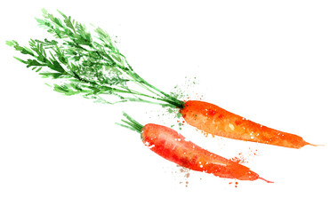 carrot vector logo design template. vegetable or food icon.