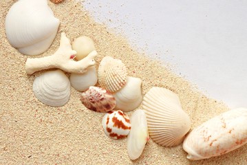 Sand background with sea shells  and paper
