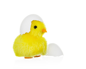 Toy chicken with egg shell