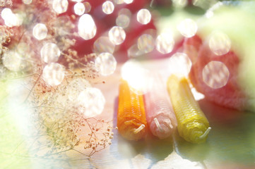 Natural beeswax candles on bright background with bokeh