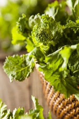 Organic Raw Green Broccoli Rabe Rapini