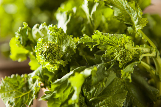 Organic Raw Green Broccoli Rabe Rapini