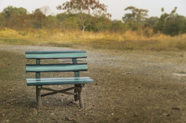 Fototapeta premium Forest