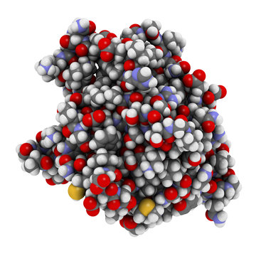 Anakinra rheumatoid arthritis drug, molecular structure. 