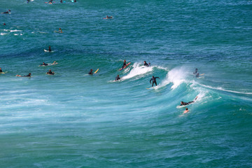 Surfeurs a Bondi beach - 78552938