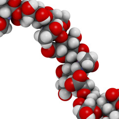 Hyaluronan (hyaluronic acid, hyaluronate) glycosaminoglycan 