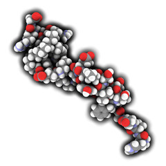 Liraglutide peptide drug molecule. 