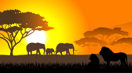 Fototapeta na wymiar African savanna an evening landscape
