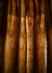 Fury animal coat
