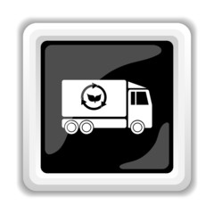 Eco truck icon